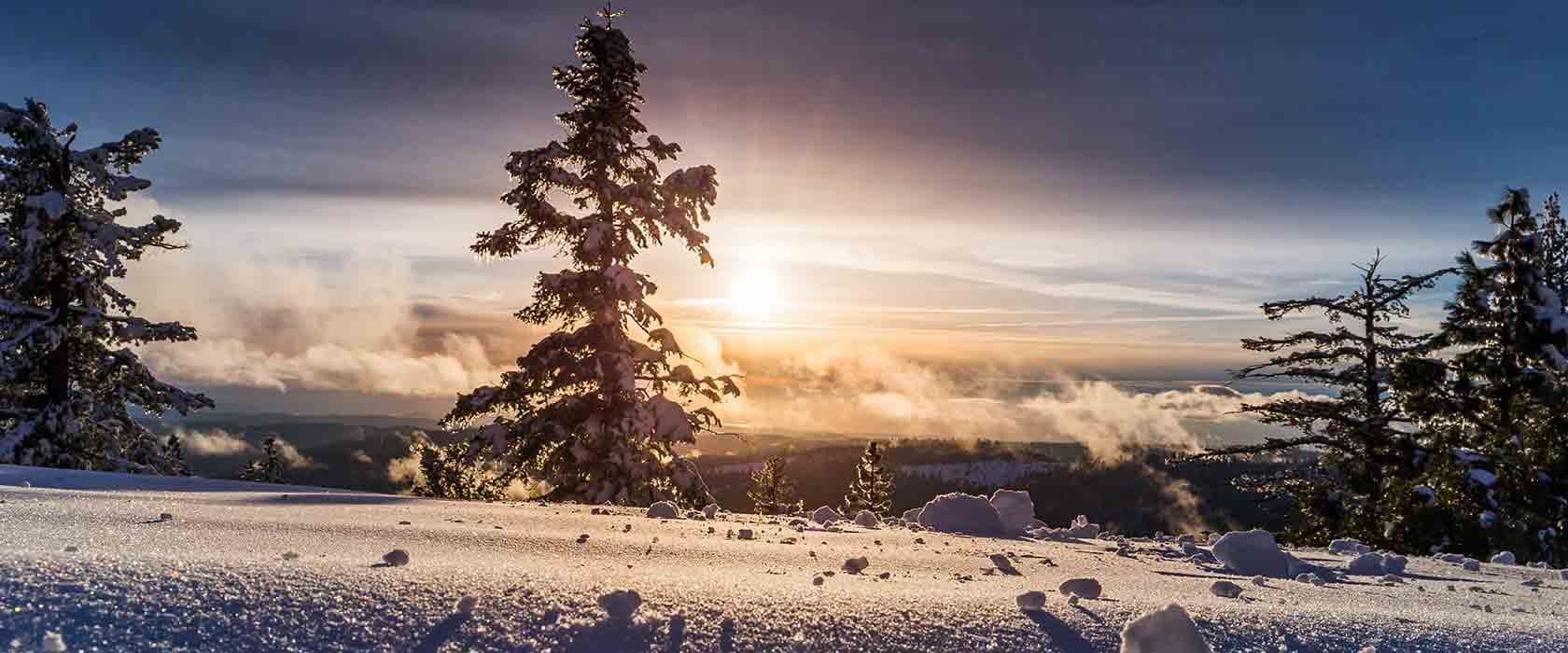 best time to visit auli